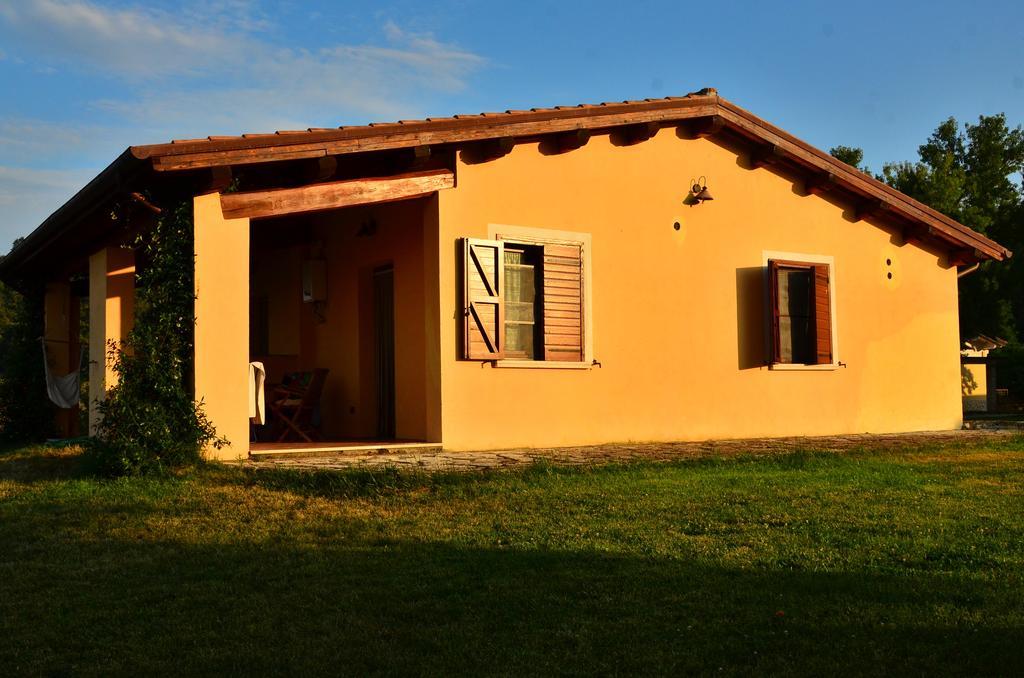 Agriturismo Terre Di Musignano Canino Cameră foto