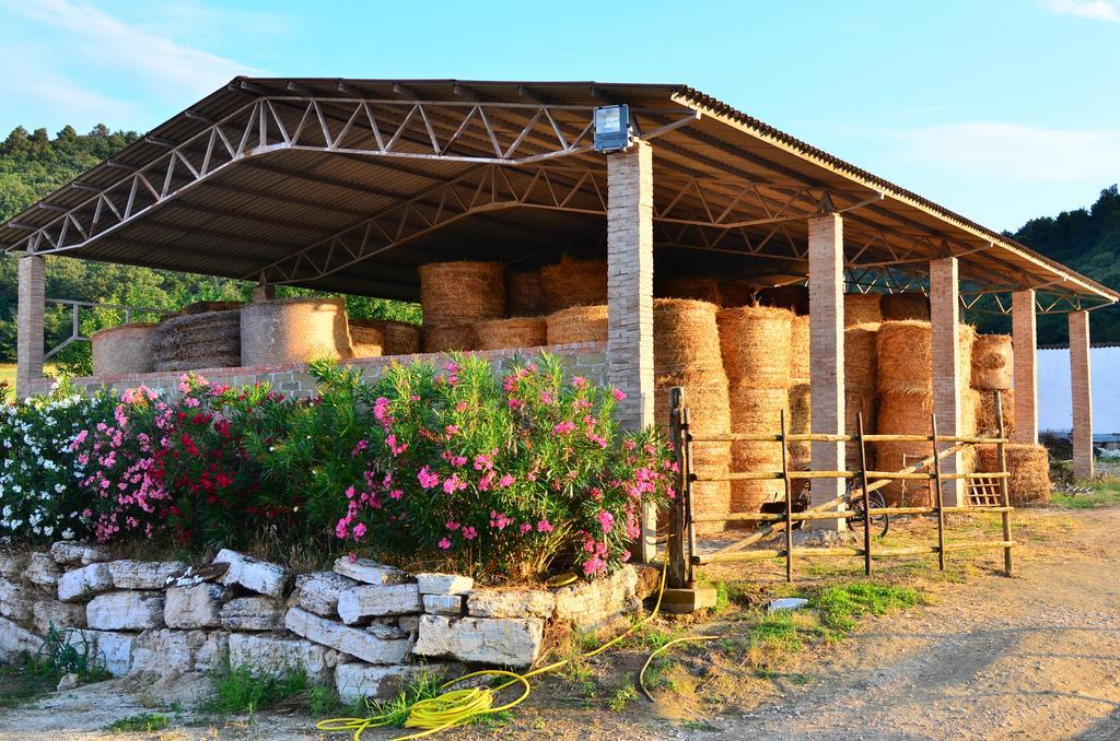 Agriturismo Terre Di Musignano Canino Cameră foto